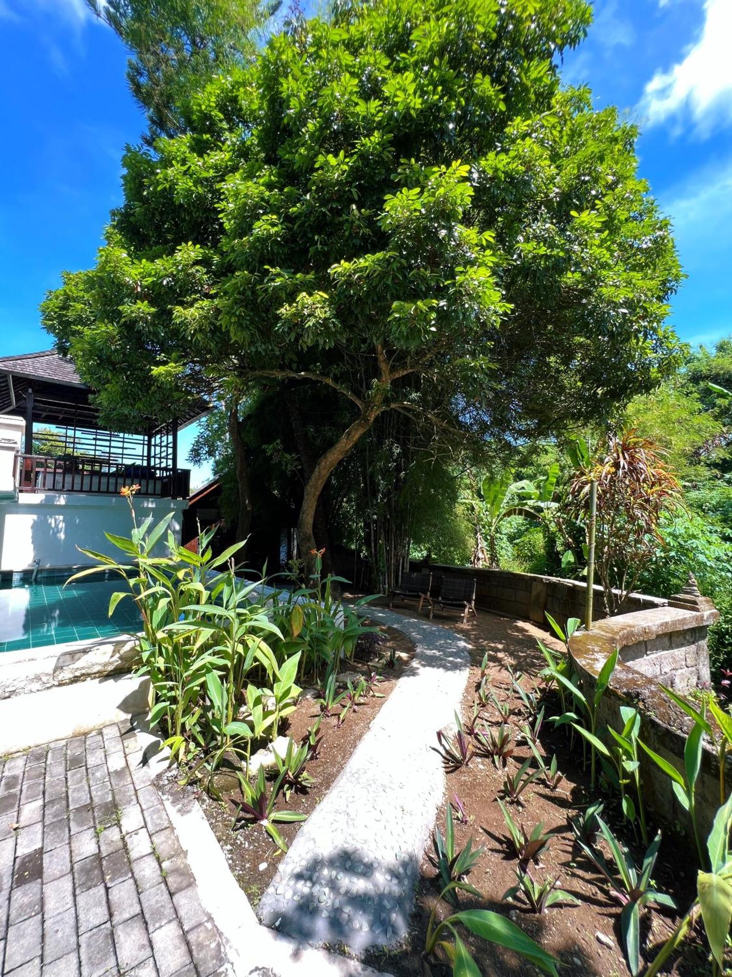 Villa Neshama تْشانغو المظهر الخارجي الصورة