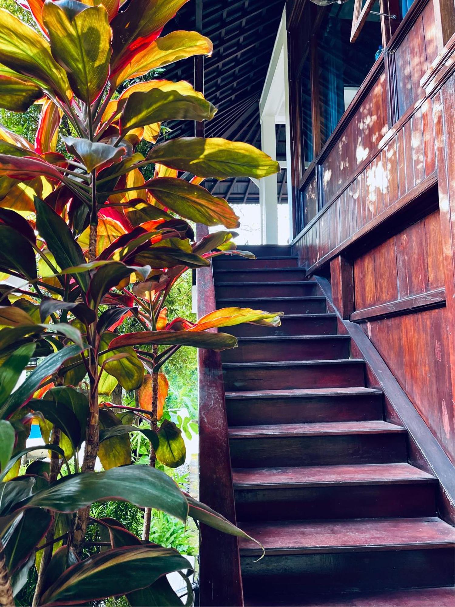 Villa Neshama تْشانغو المظهر الخارجي الصورة